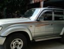 Toyota Land Cruiser 1995 - Bán Toyota Land Cruiser đời 1995, màu bạc, nhập khẩu, 175tr