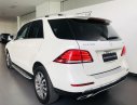 Mercedes-Benz GLE-Class GLE 400 Excusive 2016 - Xe đã qua sử dụng chính hãng- Mercedes Gle 400 Excusive odo 8.500 km, bao test, giá 3tỷ 490tr