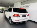 Mercedes-Benz GLE-Class GLE 400 Excusive 2016 - Xe đã qua sử dụng chính hãng- Mercedes Gle 400 Excusive odo 8.500 km, bao test, giá 3tỷ 490tr