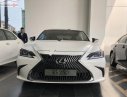 Lexus ES 250 2018 - Bán xe Lexus ES 250 đời 2018, nhập khẩu, mới 100%