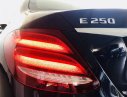 Mercedes-Benz E class E250 2017 - Xe đã qua qua sử dụng chính hãng- Mercedes E250 2017 ODO 18.000 km, bao test, giá tốt nhất HCM
