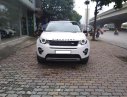LandRover Discovery Sport HSE Luxury 2015 - Bán LandRover Discovery Sport HSE Luxury năm sản xuất 2015, màu trắng, xe nhập