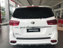 Kia Sedona Platinum D 2019 - Cần bán Kia Sedona Platinum D đời 2019, màu trắng, mới 100%