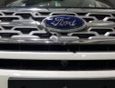 Ford Explorer Limited 2.3L EcoBoost 2019 - Bán Ford Explorer 2019 mới 100% nhập Mỹ, đầy đủ tiện nghi