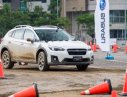 Subaru XV 2.0 I-S Eyesight 2019 - Cần bán Subaru XV 2.0 I-S Eyesight đời 2019, màu trắng, xe giao ngay