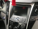 Hyundai Sonata D 2010 - Bán xe Hyundai Sonata D đời 2010, màu đen, nhập khẩu, xe cực giữ gìn