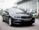 BMW 5 Series 530i 2019 - Bán BMW 530i đời 2019, màu đen, nhập khẩu nguyên chiếc