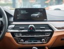 BMW 5 Series  530i  2019 - Bán ô tô BMW 5 Series G30 đời 2019, màu đen, nhập khẩu nguyên chiếc mới 100%