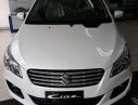 Suzuki Ciaz   2018 - Bán Suzuki Ciaz đời 2018, màu trắng, xe nhập