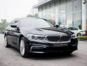 BMW 5 Series  530i  2019 - Bán ô tô BMW 5 Series G30 đời 2019, màu đen, nhập khẩu nguyên chiếc mới 100%