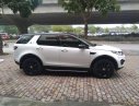 LandRover Discovery Sport HSE luxury 2015 - Cần bán LandRover Discovery Sport HSE Luxury năm sản xuất 2015, nhập khẩu