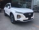 Hyundai Santa Fe 2019 - Bán Hyundai Santa Fe đời 2019, màu trắng, xe nhập