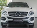 Mercedes-Benz GLE-Class  400 Exclusive   2016 - Mercedes-Benz Phú Mỹ Hưng cần bán GLE400 Exclusive cao cấp nhất, 05 chỗ, đăng ký biển số tháng 05/2018