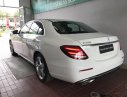 Mercedes-Benz E class E250 2018 - Bán Mercedes E250 2018 từ đại lý chính hãng