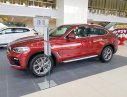 BMW X4 xDrive 20i   2019 - Bán BMW X4 xDrive 20i năm sản xuất 2019, màu đỏ, nhập khẩu 