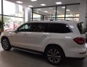 Mercedes-Benz GLS 400 4Matic 2019 - Bán Mercedes GLS 400 4Matic 2019 giá ưu đãi nhất miền bắc