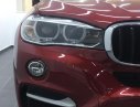 BMW X6 xDrive 35i 2019 - Bán xe BMW X6 xDrive 35i sản xuất 2019, màu đỏ, xe nhập