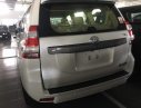 Toyota Land Cruiser  Prado VX  2019 - Bán xe Toyota Land Cruiser Prado VX năm sản xuất 2019, màu trắng, nhập khẩu nguyên chiếc