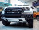 Ford Ranger  Raptor  2018 - Cần bán Ford Ranger Raptor 2018, màu trắng, nhập khẩu, mới 100%