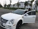 Cadillac STS    Platinum 2008 - Bán gấp Cadillac STS Platinum năm sản xuất 2008, màu trắng, xe nhập
