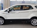 Ford EcoSport Titanium 2019 - Ford EcoSport Titanium, mới 100%, đủ màu, KM phụ kiện chính hãng, dịch vụ sau bán hàng hấp dẫn