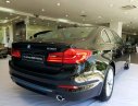 BMW 5 Series 530i 2019 - BMW 530i 2019, xe giao ngay, bảo hành toàn quốc, gói khuyến mãi 50 triệu
