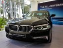 BMW 5 Series 530i 2019 - BMW 530i 2019, xe giao ngay, bảo hành toàn quốc, gói khuyến mãi 50 triệu