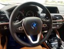 BMW X4   2019 - BMW X4 2019, giao xe ngay, chính sách bảo hành toàn quốc, khuyến mãi lớn