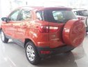 Ford EcoSport 2019 - Bán Ford EcoSport đời 2019, màu đỏ, nhập khẩu nguyên chiếc, giá chỉ 625 triệu