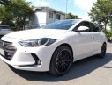 Hyundai Elantra 2.0 2017 - Cần bán Hyundai Elantra 2.0 2017, màu trắng, nhập khẩu, giá tốt