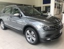 Volkswagen Tiguan 2018 - Bán xe Volkswagen Tiguan