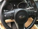 Kia Sedona DATH 2017 - Bán xe Kia Sedona DATH đời 2017 ngay chủ TPHCM