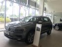 Volkswagen Tiguan 2018 - Bán xe Volkswagen Tiguan