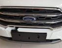 Ford EcoSport 2019 - Cần bán Ford EcoSport đời 2019, màu trắng giá cạnh tranh