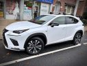 Lexus NX  300H   2018 - Bán Lexus NX 300H năm sản xuất 2018, màu trắng, nhập khẩu