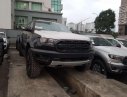 Ford Ranger Raptor  2019 - Bán Ford Ranger Raptor năm 2019, nhập khẩu nguyên chiếc