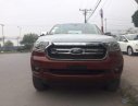 Ford Ranger 2019 - Cần bán xe Ford Ranger năm sản xuất 2019, màu đỏ, nhập khẩu nguyên chiếc