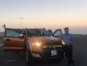 Ford Ranger 2017 - Bán Ford Ranger đời 2017, màu nâu, nhập khẩu 