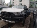 Ford Ranger Raptor  2019 - Bán Ford Ranger Raptor năm 2019, nhập khẩu nguyên chiếc