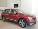 Volkswagen Tiguan 2018 - Cần bán Volkswagen Tiguan đời 2018, màu đỏ, nhập khẩu nguyên chiếc