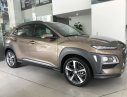 Hyundai Hyundai khác Kona 2019 -  Bán xe Hyundai Kona màu nâu, xe có sẵn, giao ngay 