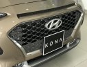 Hyundai Hyundai khác Kona 2019 -  Bán xe Hyundai Kona màu nâu, xe có sẵn, giao ngay 