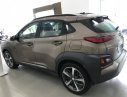 Hyundai Hyundai khác Kona 2019 -  Bán xe Hyundai Kona màu nâu, xe có sẵn, giao ngay 