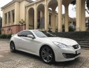 Hyundai Genesis 2010 - Cần bán Hyundai Genesis năm 2010, màu trắng, nhập khẩu  