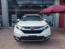 Honda CR V 1.5 -L 2018 - Bán Honda CR V đời 2018, màu trắng, nhập khẩu, đủ màu, đủ bản
