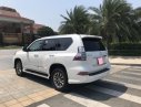 Lexus GX 460 4.6 AT 2016 - Bán xe Lexus GX460 đời 2016 màu trắng, nội thất đen, BSTP