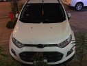 Ford EcoSport 2017 - Bán Ford EcoSport sản xuất năm 2017, màu trắng, xe đẹp