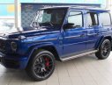 Mercedes-Benz G class G-Class V8 4.0 Biturbo AT 2018 - Cần bán Mercedes G-Class V8 4.0 Biturbo AT đời 2018, màu xanh lam, nhập khẩu