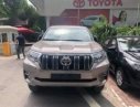 Toyota Land Cruiser 2018 - Cần bán Toyota Land Cruiser năm sản xuất 2018 giá cạnh tranh