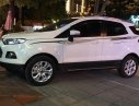 Ford EcoSport 2017 - Bán Ford EcoSport sản xuất năm 2017, màu trắng, xe đẹp
